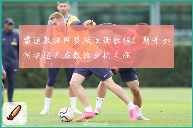 雷速数据网页版注册教程:新手如何快速开启数据分析之旅